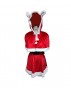Miss Sexy Santa Claus Costume HC-026