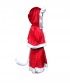 Miss Sexy Santa Claus Costume HC-026