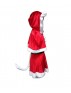 Miss Sexy Santa Claus Costume HC-026